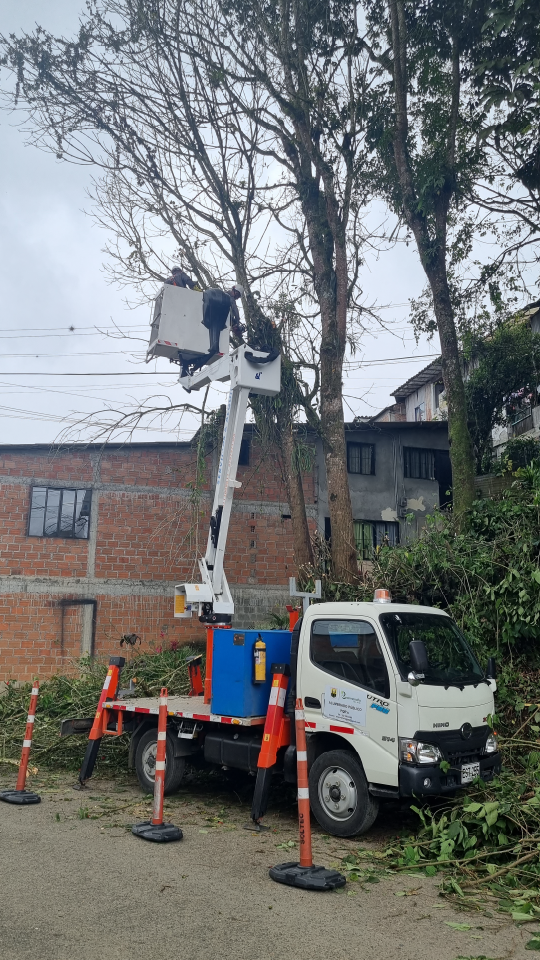 Poda de arbol con carro canasta
