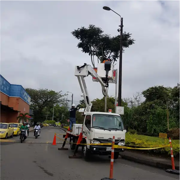 Alquiler carro canasta poda de arboles