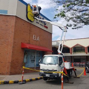 CAMION-CANASTA CAMION-CANASTA